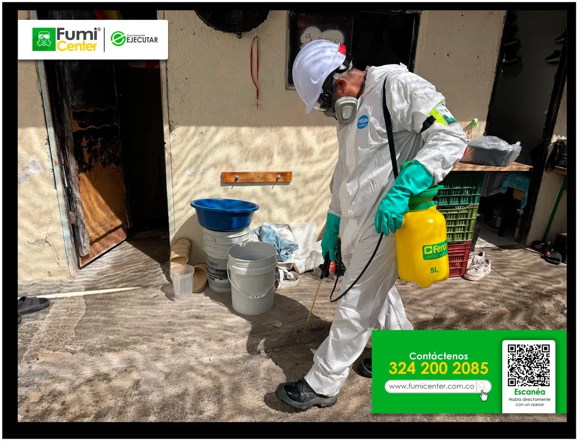 Servicio de control de plagas de FumiCenter en Santa Marta