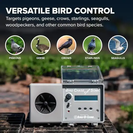 Ahuyentador de Aves Bird Chase Super Sonic — Equipos, trampas y protección · FumiCenter Santa Marta