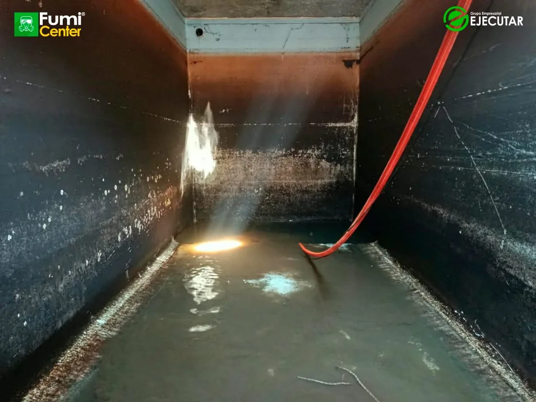Alcaldía de Algarrobo — servicio de control de plagas de FumiCenter