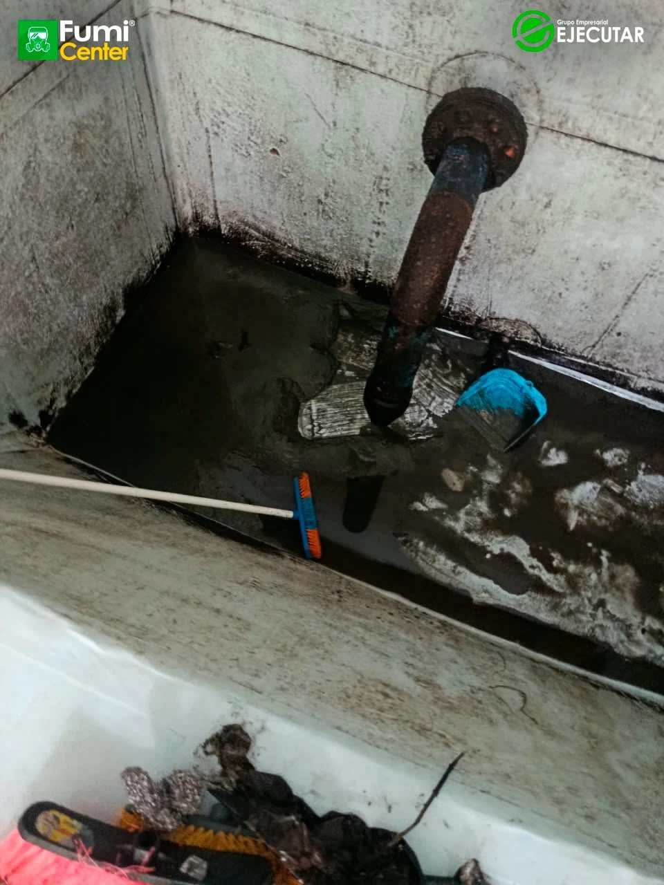 Alcaldía de Algarrobo — servicio de control de plagas de FumiCenter